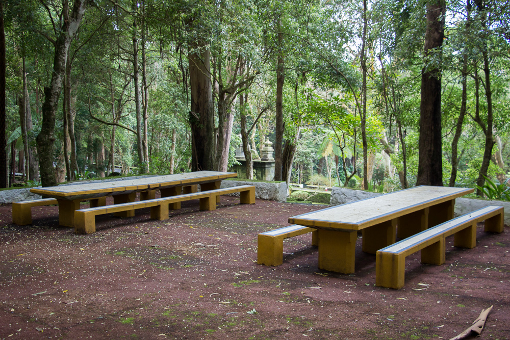 Forest seating